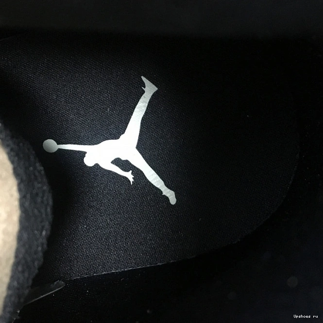 Fossil Jordan 1 Mushroom High WMNS Premium AH7389-003 Air 1210